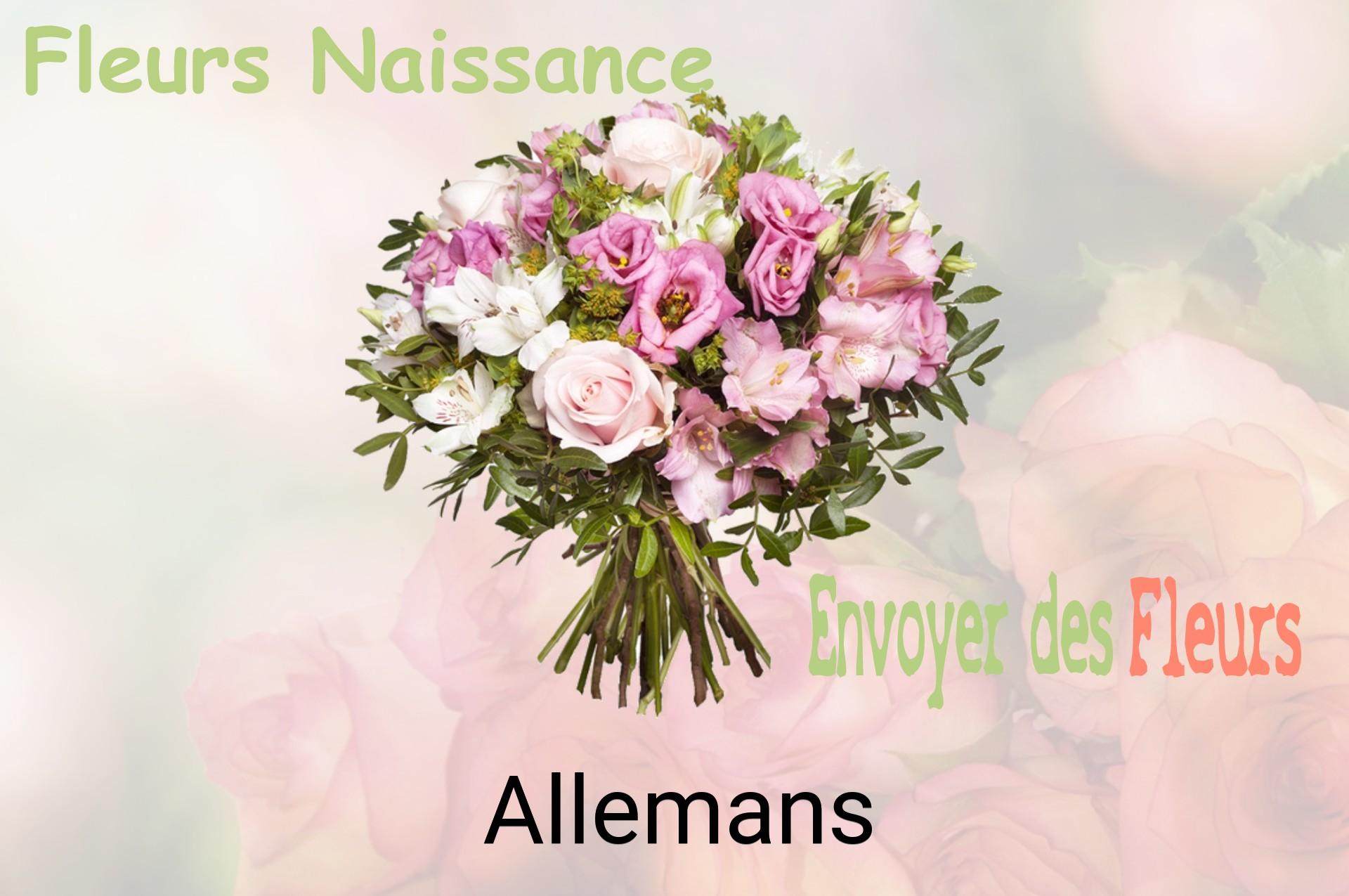 Bouquet de fleurs de naissance livré à Allemans